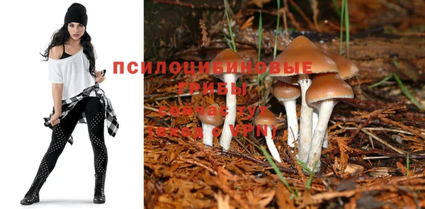 альфа пвп Надым