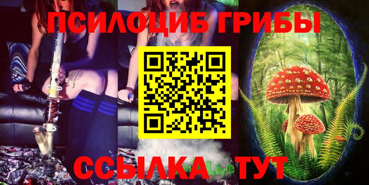 Псилоцибиновые грибы мухоморы Великий Новгород