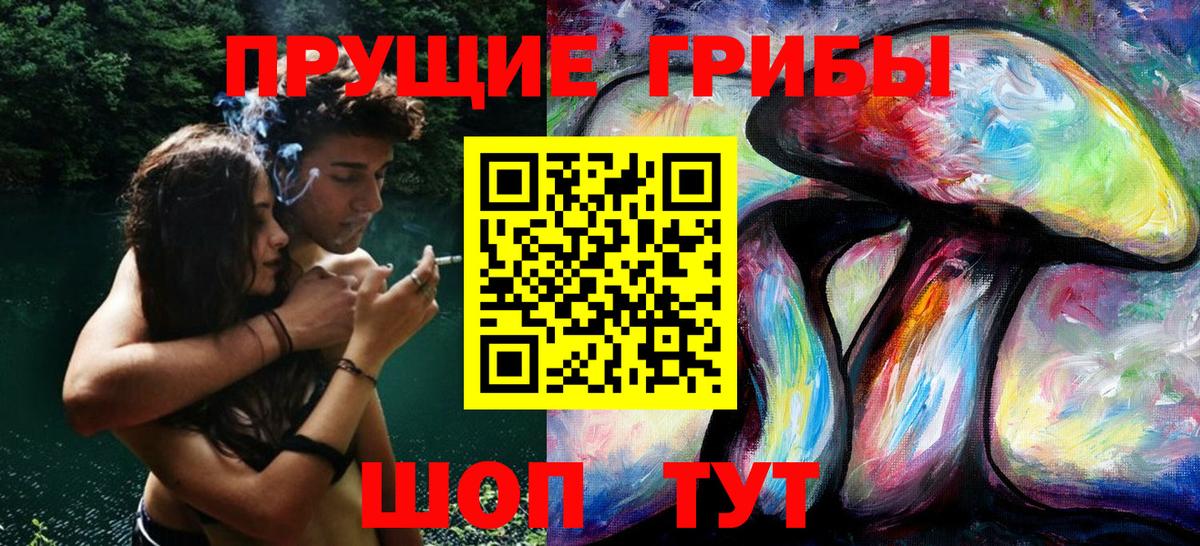 Великий Новгород  Псилоцибиновые грибы Psilocybe  Вход с VPN 