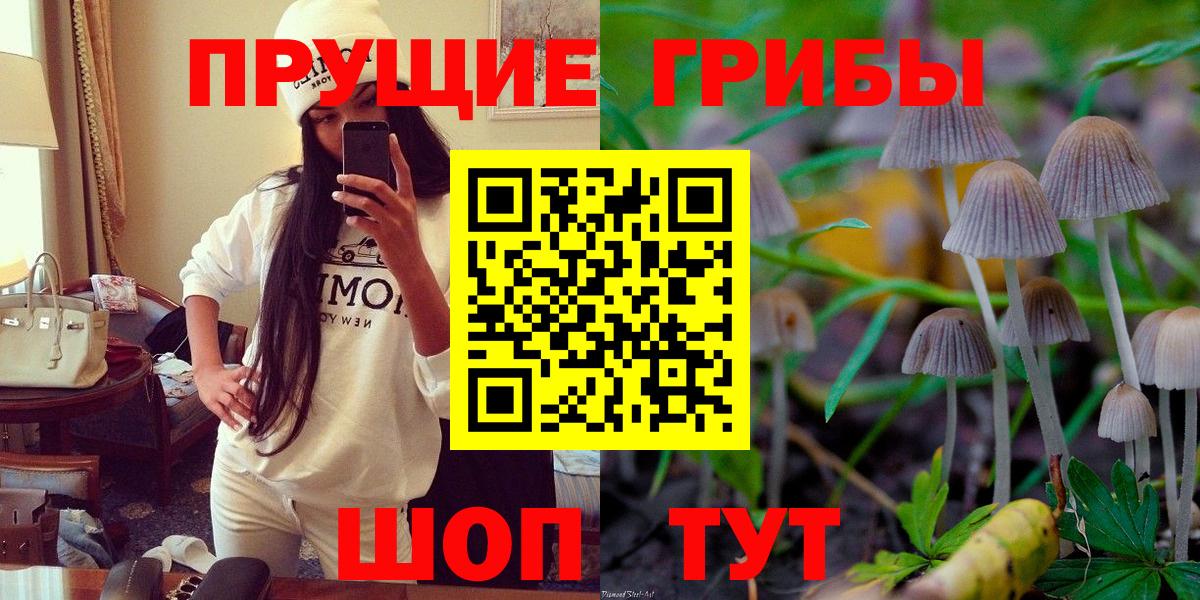 Псилоцибиновые грибы прущие грибы  Галлюциногенные грибы MAGIC MUSHROOMS  Великий Новгород 